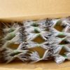 5 Pairs ELCT2-20A Electrodes FSM-50S 60S 60r 70S 80S 70S 80S 70R Fiber Fusion Splicer Welding Electrode Rod Made in Japan - Image 6