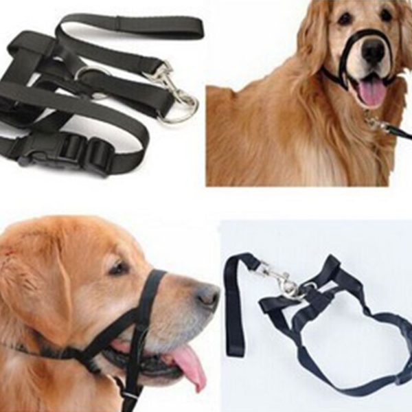 Adjustable Dog Muzzle Leader Belt Dogs Head Collar Training Leash Leader Dog Head Collar No Pull Bite Straps Dog Muzzle Supplies - Image 3