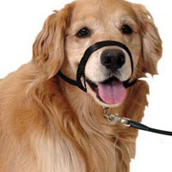 Adjustable Dog Muzzle Leader Belt Dogs Head Collar Training Leash Leader Dog Head Collar No Pull Bite Straps Dog Muzzle Supplies - Image 4