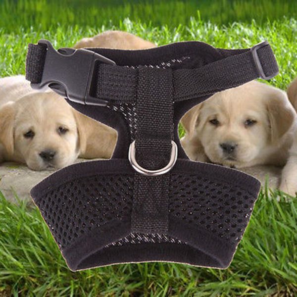 Adjustable Pet Control Harness Collar Safety Strap Mesh Vest For Dogs Puppy Cats Good Quality Cute Dog Harness Chest Strip - Image 4