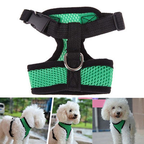 Adjustable Pet Control Harness Collar Safety Strap Mesh Vest For Dogs Puppy Cats Good Quality Cute Dog Harness Chest Strip - Image 5