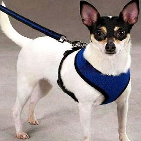 Adjustable Pet Control Harness Collar Safety Strap Mesh Vest For Dogs Puppy Cats Good Quality Cute Dog Harness Chest Strip - Image 6