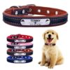 AiruiDog Adjustable Personalized Dog Collar Leather Puppy ID Name Custom Engraved XS-L