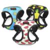 Cute Adjustable Dog Harness Leash Set Reflective Mesh Puppy Vest Nylon Pet Walking Leash Lead For Small Medium Dogs Chihuahua - Image 2