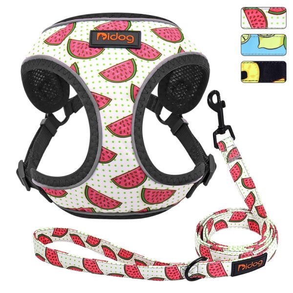 Cute Adjustable Dog Harness Leash Set Reflective Mesh Puppy Vest Nylon Pet Walking Leash Lead For Small Medium Dogs Chihuahua