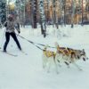 Dog Sled Harness Pet Weight Pulling Sledding Harness Mushing X Back Harness For Large Dogs Husky Canicross Skijoring Scootering - Image 4