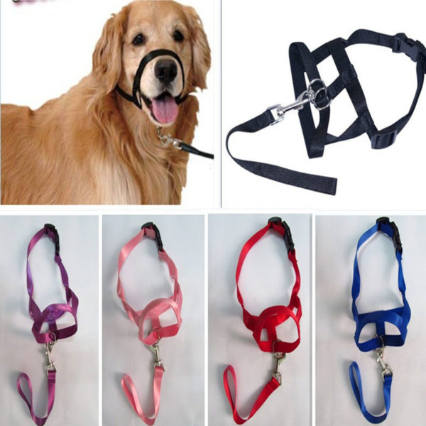 Harness Adjustable Muzzle Dog Halter Leader Belt Dog Collar Head Collar No Pull Bite Straps Training Leash Leader