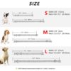 High Quality Personalized Dog Collar Adjustable Customized Pet Collar For Small Medium Large Dogs Free Engraved Dog Accessories - Image 6