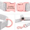 Personalized Dog Collar And Leash Set Free Engraved Pet Dog ID Tag Nameplate Collars For Small Medium Large Dogs Collar - Image 2