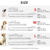 Personalized Dog Collar And Leash Set Free Engraved Pet Dog ID Tag Nameplate Collars For Small Medium Large Dogs Collar - Image 6
