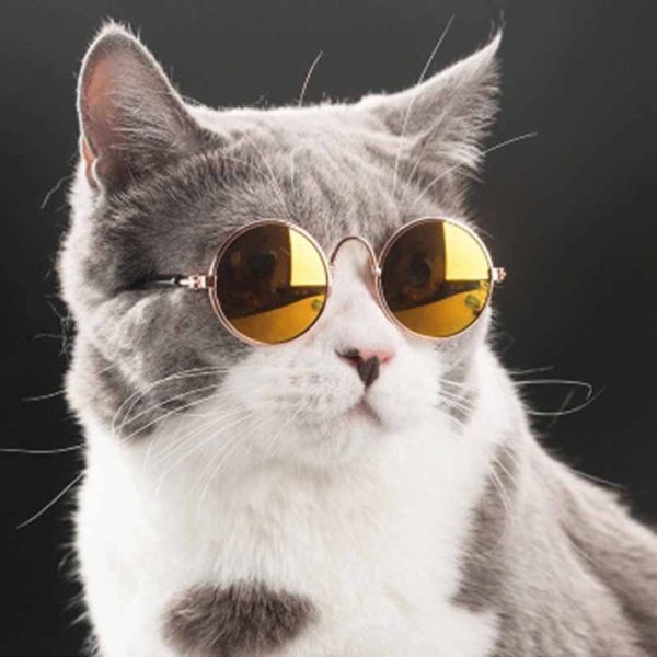 Pet Products Lovely Vintage Round Cat Sunglasses Reflection Eye wear glasses For Small Dog Cat Pet Photos Props Accessories - Image 2