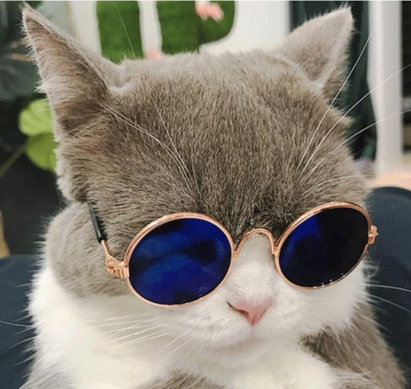 Pet Products Lovely Vintage Round Cat Sunglasses Reflection Eye wear glasses For Small Dog Cat Pet Photos Props Accessories - Image 4