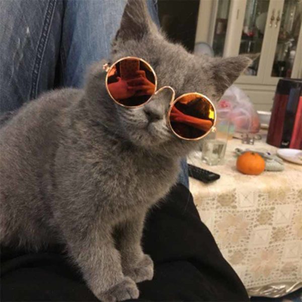 Pet Products Lovely Vintage Round Cat Sunglasses Reflection Eye wear glasses For Small Dog Cat Pet Photos Props Accessories - Image 5