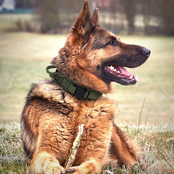 Tactical Dog Collar With Handle Durable Military Nylon Dog Collar Adjustable Training Collar For Large Dogs German Shepherd - Image 5