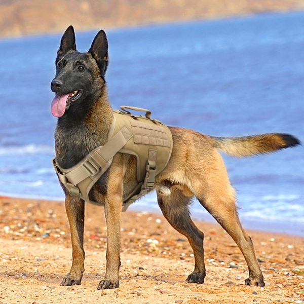 Tactical Dog Harness Pet Military Training Dog Vest German Shepherd Dog Harness Molle Vest For Medium Large Dogs - Image 5