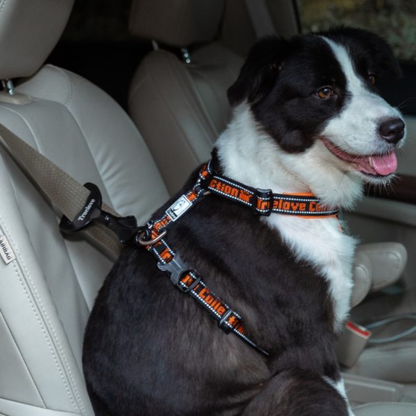 TrueLove Pet All Car Seat Belt Safety Buckle with Collar or Harness High-quality Lightweight Aluminium Alloy Portable TLM1991 - Image 3