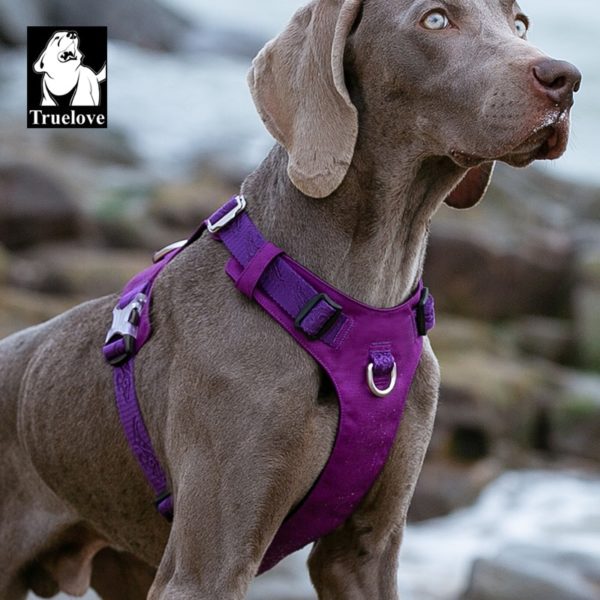 Truelove Dog Light Weight Harness Adjustable Outdoor Pet Medium Small Large Adjustable Outdoor Tactical Military Service TLH6281 - Image 3