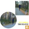 Truelove Dog Running Bungee Leash Hand-held Waistworn Adjustable Nylon Elastic Retractable Dog Leads for Running Jogging Walking - Image 3