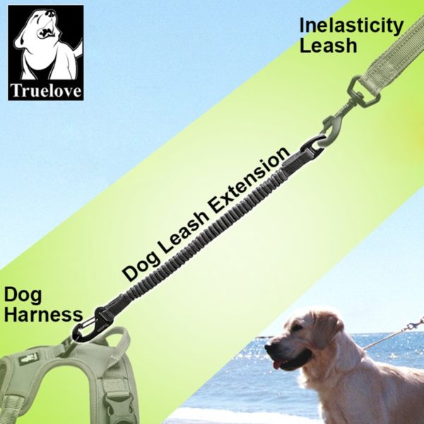 Truelove Short Bungee Dog Nylon Leash Rope For dog collar Extension Retractable For All Breed Training Running walking TLL2971 - Image 4