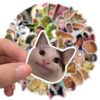 50PCS Classic Meme Stickers DIY Fridge Guitar Laptop Motorcycle Luggage Skateboard Graffiti Joke Sticker Decal Kid Toys Gift - Image 4
