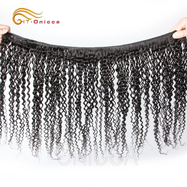 Brazilian Kinky Curly Human Hair Bundles Hair Extensions Htonicca 100% Remy Human Hair Weaves 3 and 4 Bundles Deals - Image 2