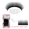 Yelix Easy Fan Volume Lashes Auto Bloom Individual Eyelash Extension Faux Mink Eyelashes Thick Natural Camellia Lash Extension - Image 4