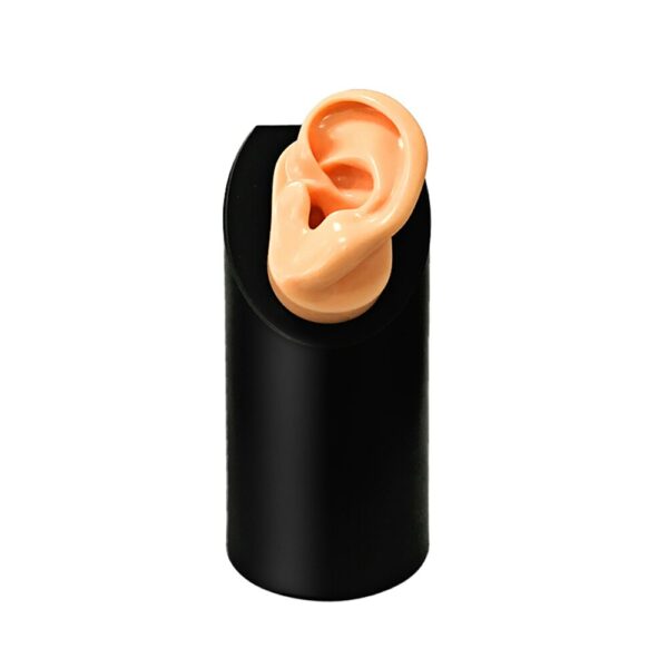 Hearing Aid Display with Silicone Ear Model for Hearing Aids IEMs Jewelry Exhibition Demonstration - Image 4