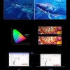 CHUWI CoreBook X Intel Core i5 12450H Gaming Laptop 14 inch 2160x1440 Resolution 16GB RAM 512GB SSD WiFi6 Windows 11 Computer PC - Image 4
